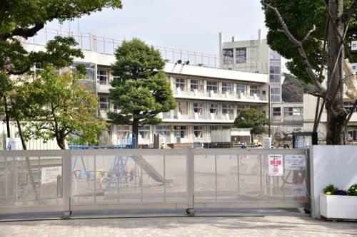 市川市立真間小学校の画像