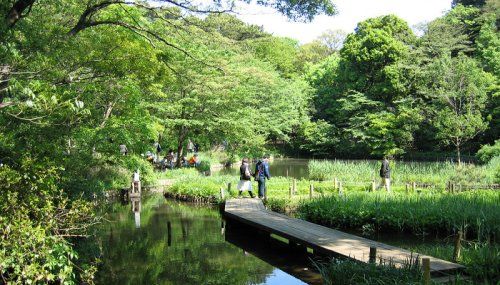 国立科学博物館附属自然教育園の画像