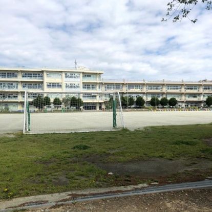 見沼小学校の画像