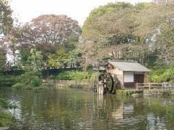 鍋島松濤公園の画像