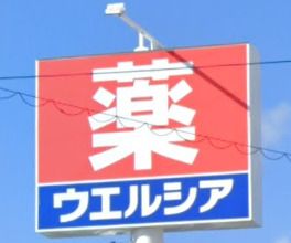 ウエルシアさいたま大谷口店の画像