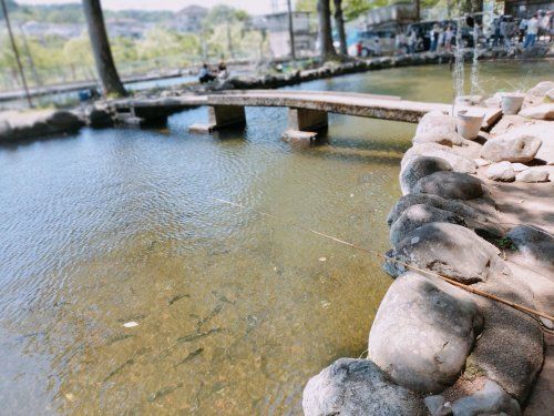 多摩川養殖つり堀場の画像