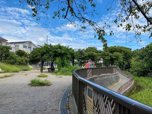 練馬区立大泉井頭公園の画像