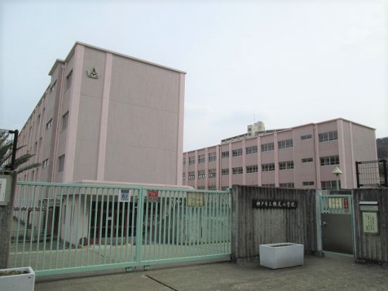 神戸市立横尾小学校の画像