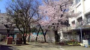 渋谷区立広尾幼稚園の画像