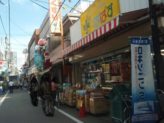 どらっぐぱぱす江戸川橋店の画像