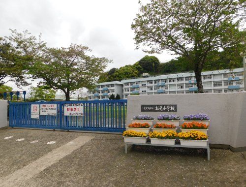 鹿児島市立坂元小学校の画像