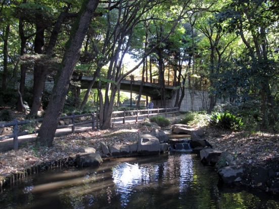 林試の森公園の画像