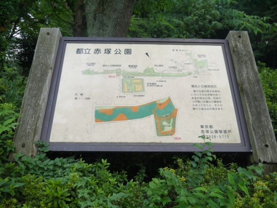 東京都立　赤塚公園の画像