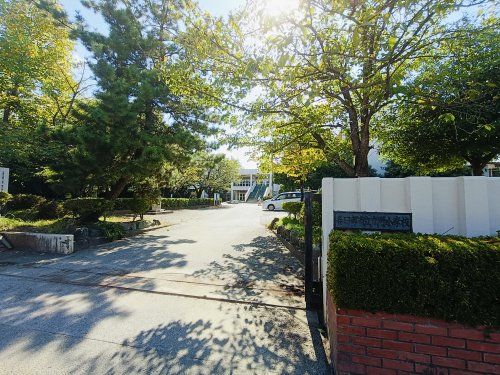 春日部市立立野小学校の画像