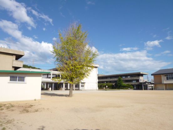琴浦西小学校の画像