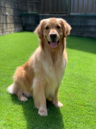 執行役員営業部長 松野 茂