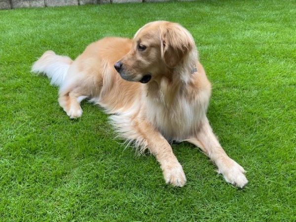 執行役員営業部長 松野 茂